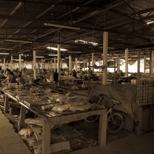 Marché couvert Laos - Magali Carbone Photo