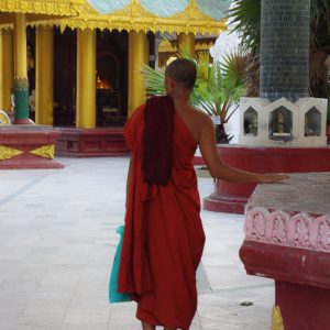Monk Myanmar - Magali Carbone photography