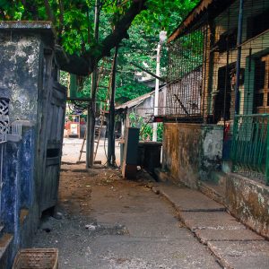 yangon street myanmar - Magali Carbone photo