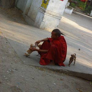 Monk playing with dog myanmar - MagCarbone photo