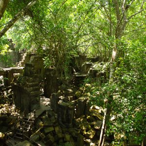 Beng Mealea jungle cambodia - MagCarbone photo