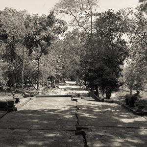 beng mealea road cambodia - MagCarbone photo
