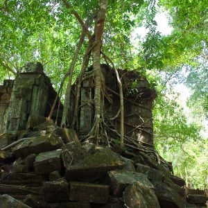 Beng Mealea temple tree - Magali Carbone photo
