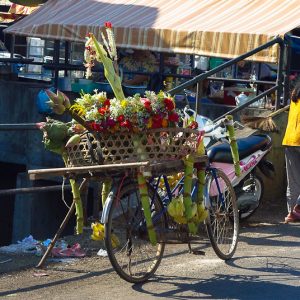 flower bike cambodia - Magali Carbone photo