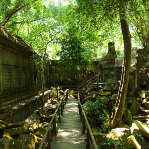 Beng Mealea temple cambodia - MagCarbone photo