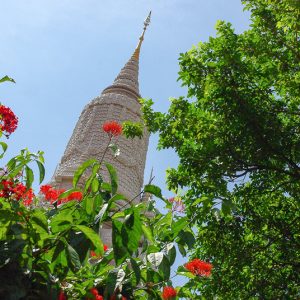 blue sky and red flowers cambodia - MagCarbone photo