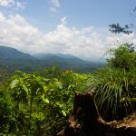 Bukit Terisek Malaysia - Magali Carbone photo