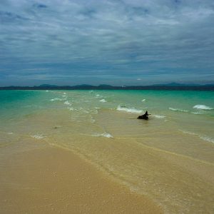 Sunburn Island Malaysia - MagCarbone photo