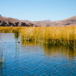 Lake Titicaca - Magali Carbone Photography