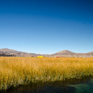 Lake Titicaca Landscape - MagCarbone photo