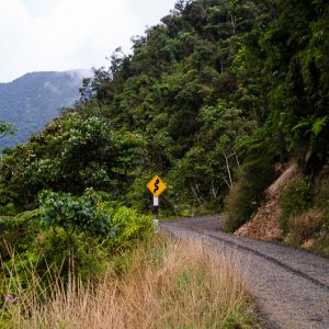 Manu national park road - Magali Carbone photo
