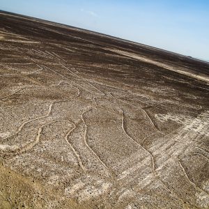 Nazca Lines - Magali Carbone photo