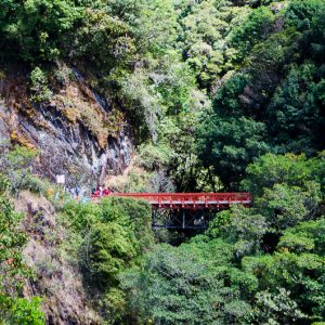 Manu national park - Magali Carbone photo