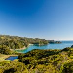 Abel Tasman New-Zealand - MagCarbone photo