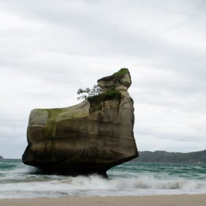 Beach New-Zealand - MagCarbone photo