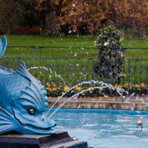 Botanic Garden Christchurch New-Zealand - MagCarbone photo