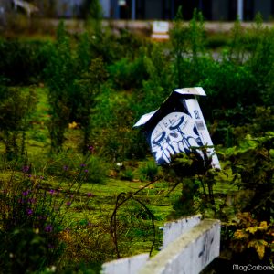 Street art Christchurch New-Zealand - MagCarbone photo