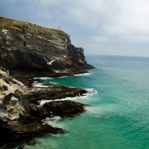 Dunedin New-Zealand - MagCarbone photo