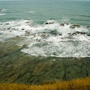 wheat and sea - Magali Carbone photo