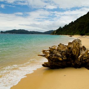 Beach landscape New-Zealand - Magali Carbone photo