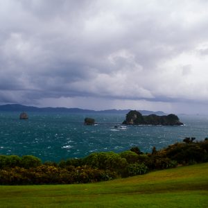 Green Seashore - Magali Carbone photo