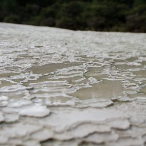 Close up Rotorua - Magali Carbone photo