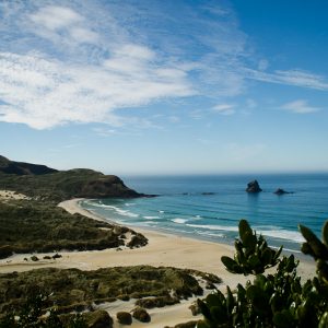 Sandfly beach in New-Zealand - MagCarbone photo