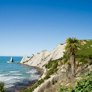 Cape kidnappers Hawkes Bay New-Zealand - MagCarbone photo