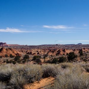 Rocky landscape USA - Magali Carbone photo