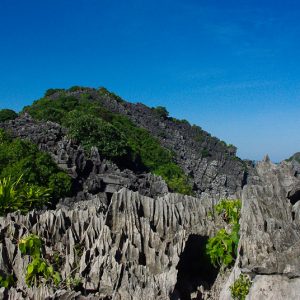 Dao Khi île aux singes Vietnam - MagCarbone photo