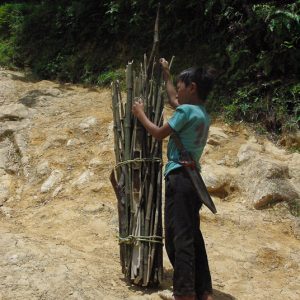 Porteur de bois Vietnam - Magali Carbone photo