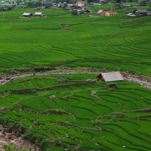 Trek dans les rizières de Sapa - MagCarbone photo