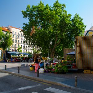 Flower market Madrid - Magali Carbone photo