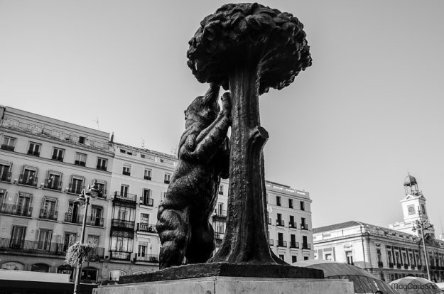 Puerta del sol oso y madrono madrid - MagCarbone photo