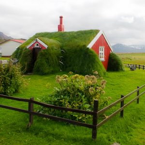 Borgarfjordur roof covered by grass iceland - MagCarbone photo