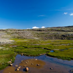 little paradise iceland - Magali Carbone photo