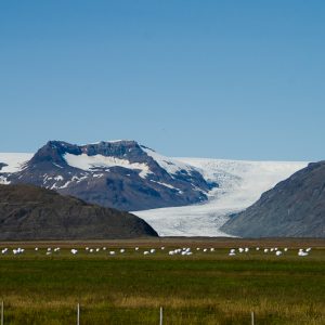 Volcano iceland - Magali Carbone photography