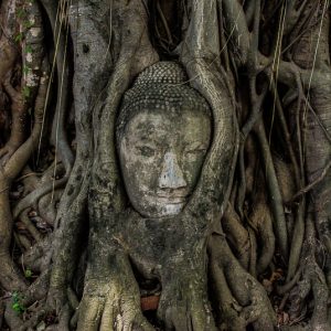 Wat Phra Mahathat le visage de Bouddha - MagCarbone photo