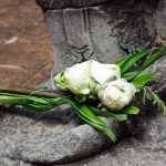 Offering closeup thailand - Magali Carbone photo