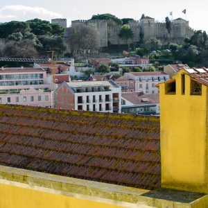 Pigeon on yellow roof Lisboa - MagCarbone photo