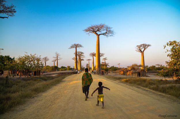 Allée des Baobabs madagascar - MagCarbone photography