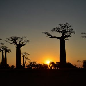 Soleil couchant madagascar - Magali Carbone photo