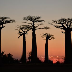 Coucher de soleil à Madagascar - MagCarbone photo