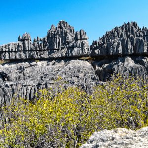 Grand Tsingy de Bemahara madagascar - MagCarbone photo