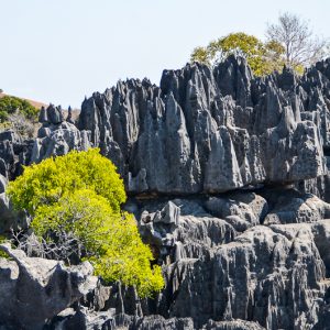 Grand Tsingy madagascar - Magali Carbone photo
