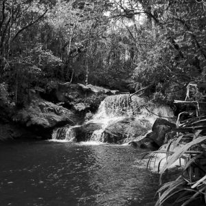 Parc Mantadia Madagascar - Magali Carbone photo