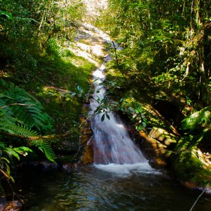 Parc national Mantadia Madagascar - Magali Carbone photo