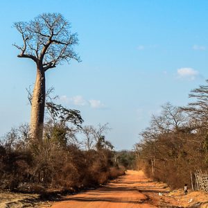 route de sable rouge madagascar - MagCarbone photo