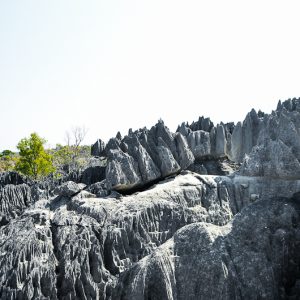 Tsingy de Bemaraha Madagascar - Magali Carbone photo